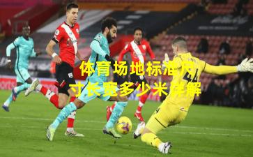  体育场地标准尺寸长宽多少米详解